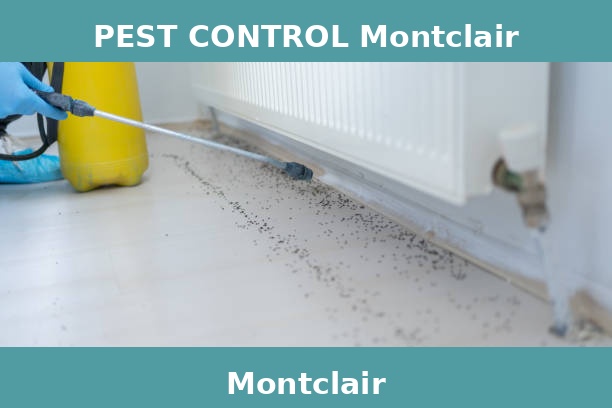 PEST CONTROL Montclair